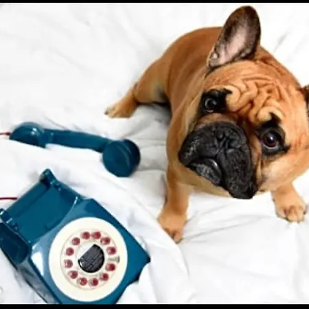 San Mamés Stadium Corner Apartamento *
